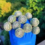 Orostachys Boehmeri Makino Hara – My Succulents – Mysucculents (4)